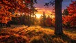 © CHOISH - 노을빛 가을 숲의 석양 Sunset Glow in Autumn Forest