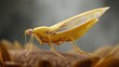 © Preecha - A realistic close-up of a mayfly-inspired insect robot collecting pollen on a sunflower, macro shot, transparent solar wings and short-life battery system, soft bokeh of riverbank flora