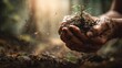 © Nytheris  - Close-Up of Hands Holding Sprouting Seedling with Blurred Forest Background and Warm Light