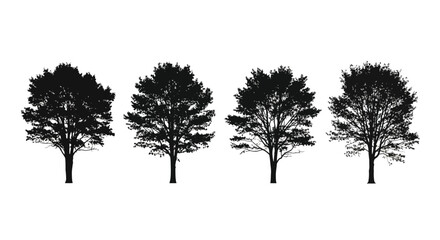 Four detailed silhouette trees with full leafy canopies against a vector