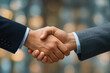 © praewpailyn - Business handshake agreement partnership success deal trust professional collaboration teamwork contract negotiation corporate relationship opportunity