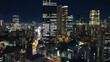 Night view of the Tokyo skyline from above, panoramic view of Tokyo, Japan