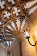 gothic style ceiling and lamp in all souls college in Oxford University