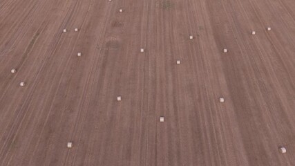 Wall Mural - aerial view of hay bales on a harvested field. farming in the czech republic in summer. drone view