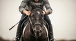 © Светлана Воротняк - Man in grey shirt riding dark brown horse with bridle on head. Equestrian sport and horseback riding concept for outdoors activity.