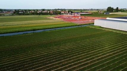 Aerial view of agricultural fields divided by a canal, with vibrant flower rows and walking visitors. Greenhouses and rural buildings in the background highlight farming and tourism integration.