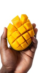 Wall Mural - African hand holding a ripe mango fruit cut into squares against white background