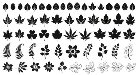 Extensive collection of black vector silhouette botanical leaves, plants, flowers, branches, and decorative nature design icons.