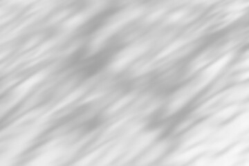 Wall Mural - tree shadow png overlay effect, transparent background