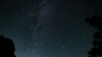 Wall Mural - Milky Way Galaxy Andromeda Perseid Meteor Shower Northeast Over Forest Astrophotography Time Lapse California USA