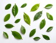 © niningg - Green leaves arranged on a white background