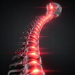 © IQRAM - A 3D rendering of a human spine, glowing red, highlighting each vertebra, set against a dark background, viewed from a low angle
