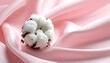 © Damar - Cotton boll on pink fabric