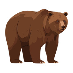 Brown bear illustration standing on white background with detailed fur and calm expression – flat illustration
