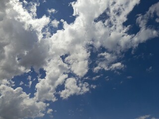 Wall Mural - Cottons in the Blue Sky