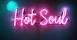 © antishock - Bright pink neon sign displays Hot Soul. Turquoise glow adds contrast against dark wall. Modern aesthetic, vibrant colors.