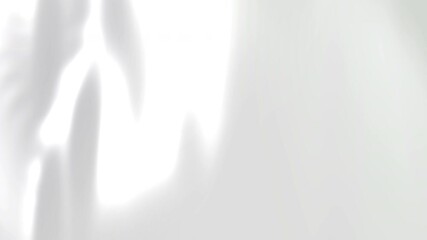 Wall Mural - white gradient background animation features a subtle interplay of light and shadow. this seamless l