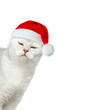 © lizavetta - Silver British cat in Santa hat peeking out of frame. Isolated on white.