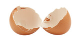 Isolated Egg Shell