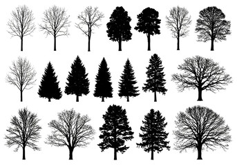 Vector art of collection of various deciduous and coniferous trees in silhouette, , showcasing different shapes and branch structures for design elements