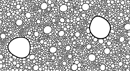 Abstract organic cell network pattern texture background digital art organic cellular structure vector