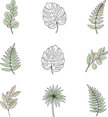 Collection of botanical line art illustrations of tropical leaves and branches isolated on white background