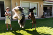 © Manu Prats/Stocksy - Energetic dogs jumping with playful child, outdoor games.