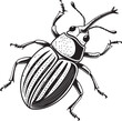 © Tonix Pix - Weevil (rice weevil, maize weevil, cotton boll weevil) Pest Farm Insect Vector Illustration, Sketch Drawing Line Linear Symbol Icon Engraving Coloring Book, Hand-drawn Doodle Black and White Isolated