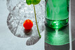 © Natalia Mishina/Stocksy - Vivid red cherry tomato and green leaf