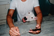© Juan Moyano/Stocksy - a dog leaning next to a man using a phone