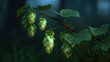 © Nattapol - Fresh green hop cone hanging from leafy branch closeup