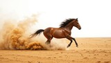 A brown horse galloping rapidly through a sandy desert landscape kicking up dust and sand clouds