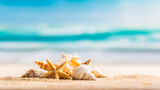 Tropical beach accessories artistically arranged, featuring starfish and seashells on sand.
