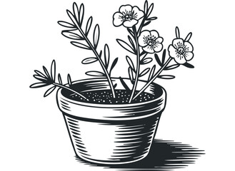 Wall Mural - Potted plant with delicate flowers and leaves in a simple clay pot. Vector hand drawn illustration