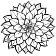 © lilyax - Black and white floral mandala pattern symmetrical