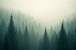© KP - Misty Forest Serenity: A tranquil forest scene cloaked in an ethereal mist, where towering evergreen trees create a captivating landscape of depth and mystery.