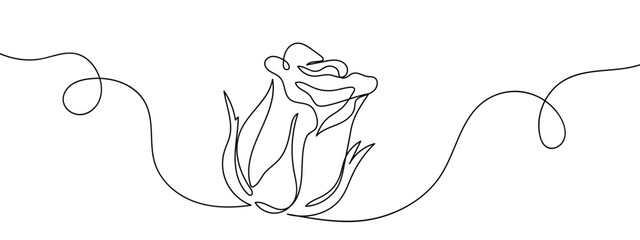 Wall Mural - Continuous line of single rose. Simple line art doodle vector. Editable stroke.