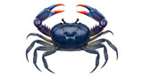 Isolated Blue Crab with Claws Raised, a Crustacean Found in Coastal Waters on Plain Background