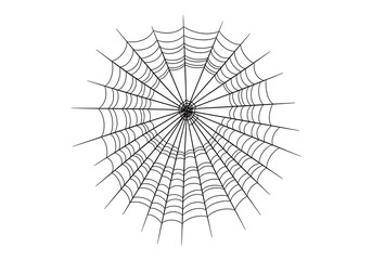 Intricate spiderweb with a spider at its center on a white background