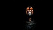 © Rusdi - Lion emerging from darkness, intense stare