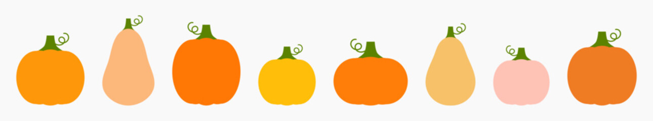 Wall Mural - autumn pumpkins set, different shapes, colors and sizes. pumpkin gourds border design element. vecto