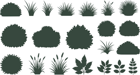 Wall Mural - set of bush grass shrub herb silhouette vector transparent background 