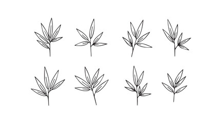 Collection of delicate botanical line art silhouettes of wheat stalks silhouette