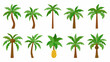 © Etika - Collection of diverse cartoon palm trees with varied shapes and sizes