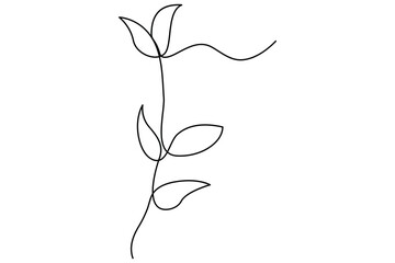 Wall Mural - continuous single line drawing of leaves botanical illustration in vector outline style