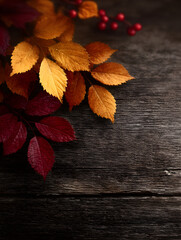 Wall Mural - Orange-red leaves are placed on a wooden floor decorated with small red fruits.