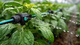Smart irrigation controllers use evapotranspiration rates and soil moisture feedback to precisely regulate water delivery, promoting efficient growth in managed landscapes.