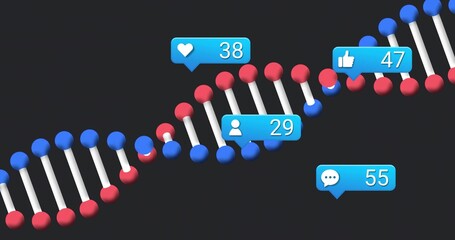 Wall Mural - stylized dna double helix floating on digital background, with social media notification icons