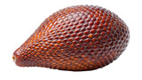 A single textured reddish brown salak fruit with its distinctive scaly skin isolated on transparent background