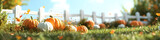 Pumpkins in Grassy Field with White Picket Fence